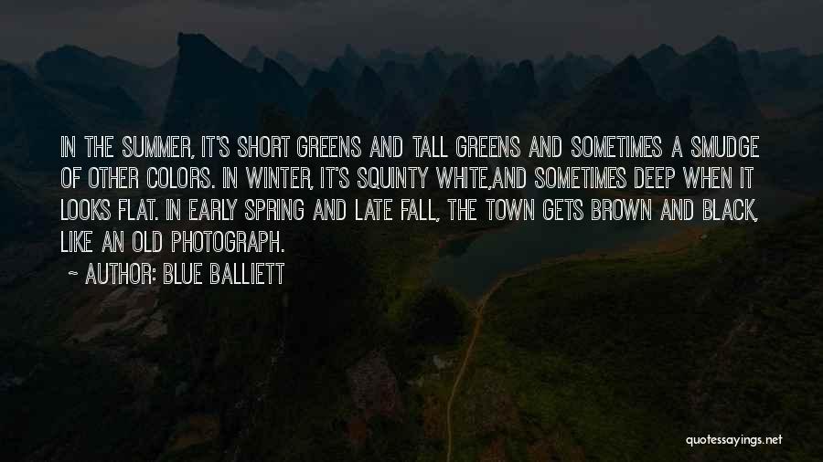 Blue Balliett Quotes: In The Summer, It's Short Greens And Tall Greens And Sometimes A Smudge Of Other Colors. In Winter, It's Squinty