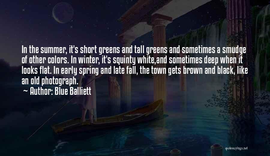 Blue Balliett Quotes: In The Summer, It's Short Greens And Tall Greens And Sometimes A Smudge Of Other Colors. In Winter, It's Squinty