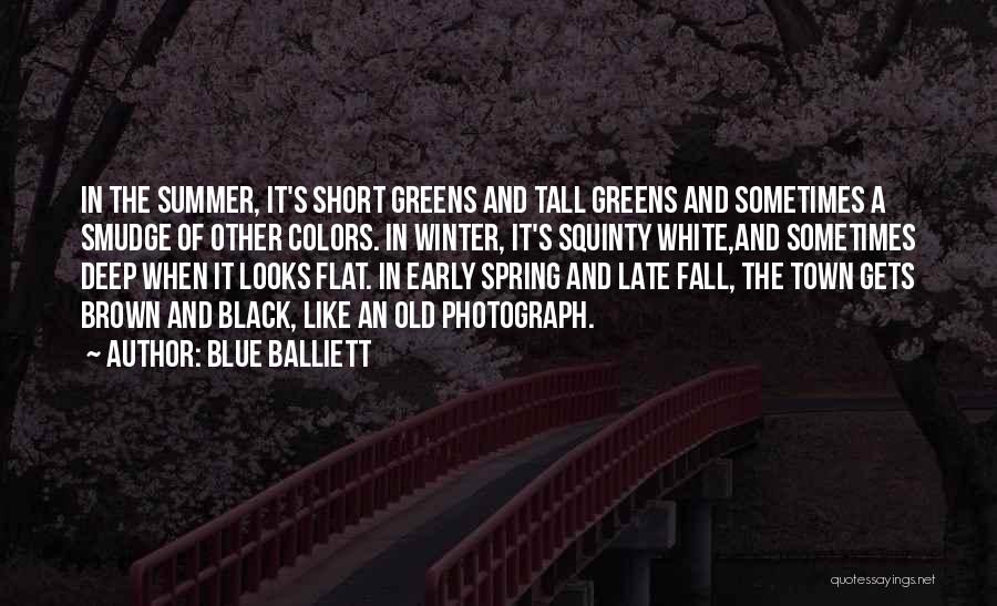 Blue Balliett Quotes: In The Summer, It's Short Greens And Tall Greens And Sometimes A Smudge Of Other Colors. In Winter, It's Squinty