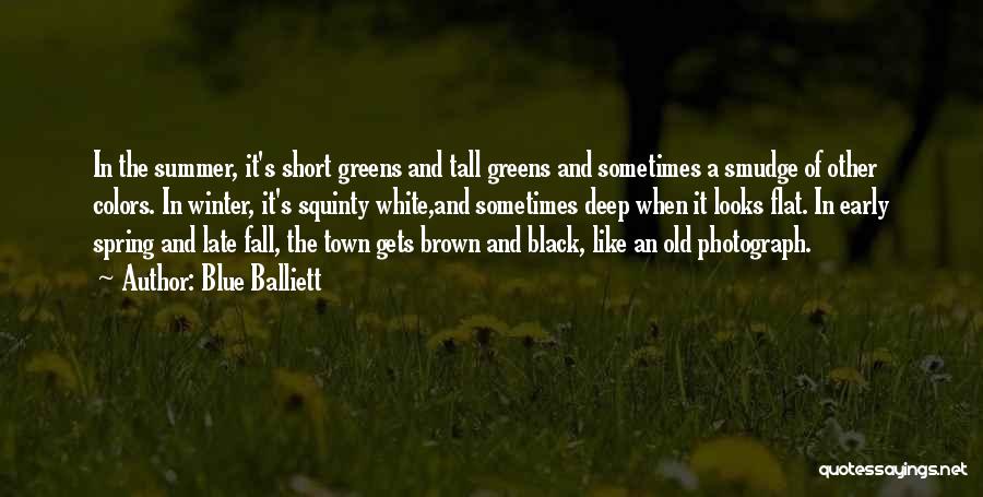 Blue Balliett Quotes: In The Summer, It's Short Greens And Tall Greens And Sometimes A Smudge Of Other Colors. In Winter, It's Squinty