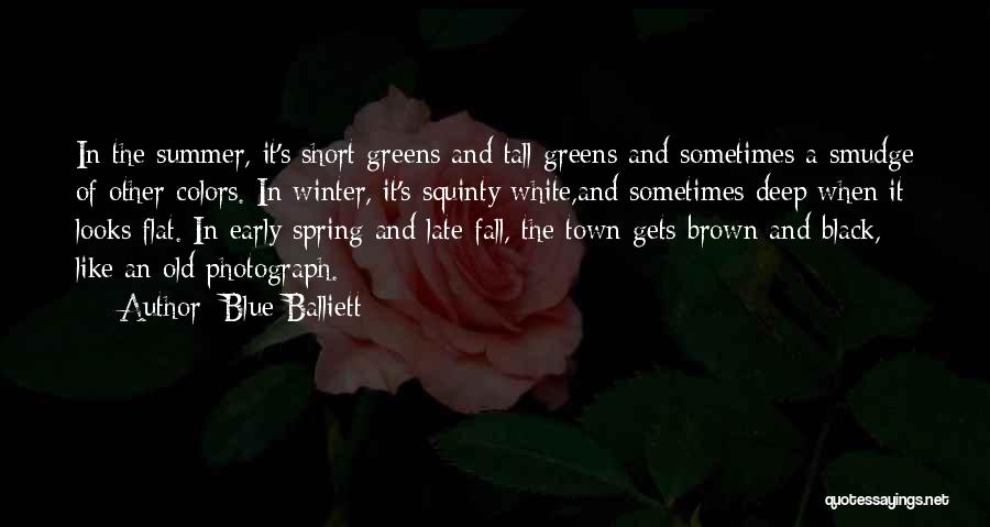 Blue Balliett Quotes: In The Summer, It's Short Greens And Tall Greens And Sometimes A Smudge Of Other Colors. In Winter, It's Squinty