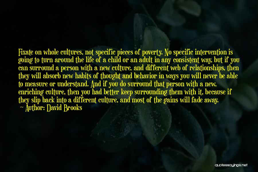 David Brooks Quotes: Fixate On Whole Cultures, Not Specific Pieces Of Poverty. No Specific Intervention Is Going To Turn Around The Life Of