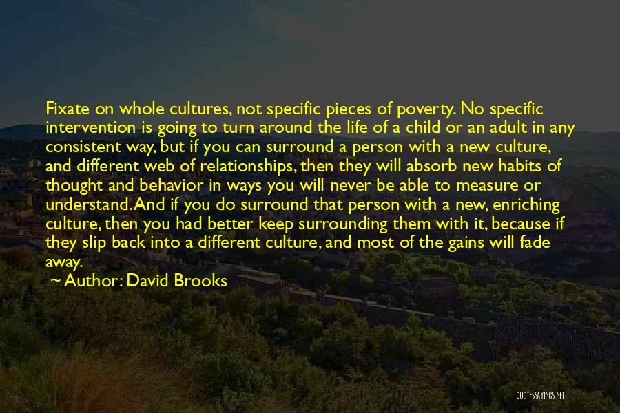 David Brooks Quotes: Fixate On Whole Cultures, Not Specific Pieces Of Poverty. No Specific Intervention Is Going To Turn Around The Life Of