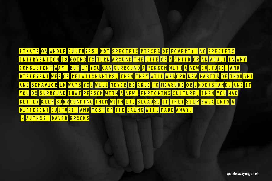 David Brooks Quotes: Fixate On Whole Cultures, Not Specific Pieces Of Poverty. No Specific Intervention Is Going To Turn Around The Life Of