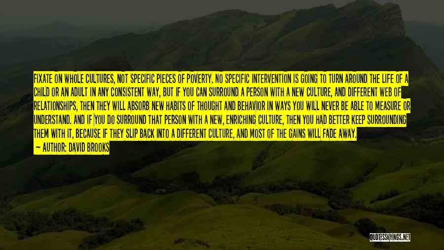 David Brooks Quotes: Fixate On Whole Cultures, Not Specific Pieces Of Poverty. No Specific Intervention Is Going To Turn Around The Life Of