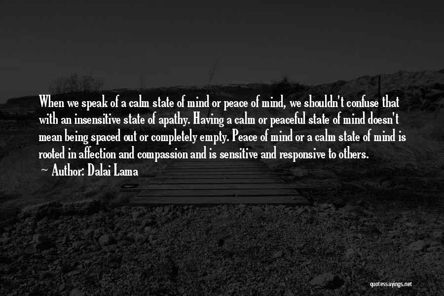 Dalai Lama Quotes: When We Speak Of A Calm State Of Mind Or Peace Of Mind, We Shouldn't Confuse That With An Insensitive