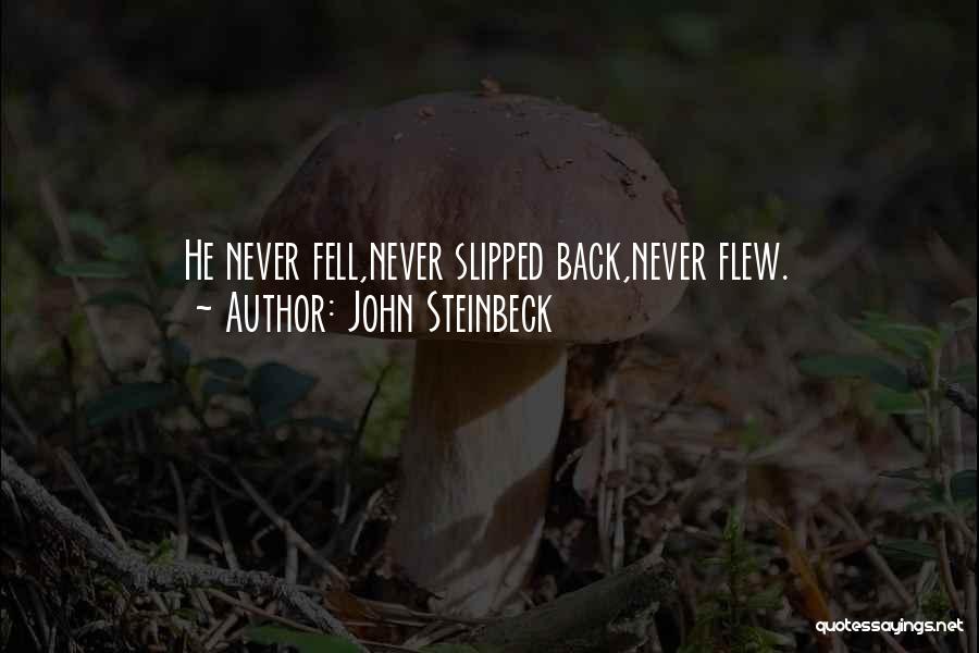 John Steinbeck Quotes: He Never Fell,never Slipped Back,never Flew.