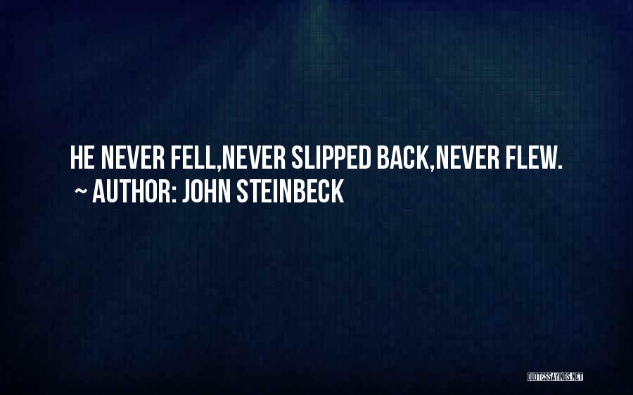 John Steinbeck Quotes: He Never Fell,never Slipped Back,never Flew.