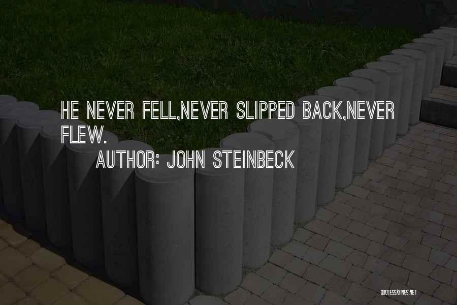 John Steinbeck Quotes: He Never Fell,never Slipped Back,never Flew.