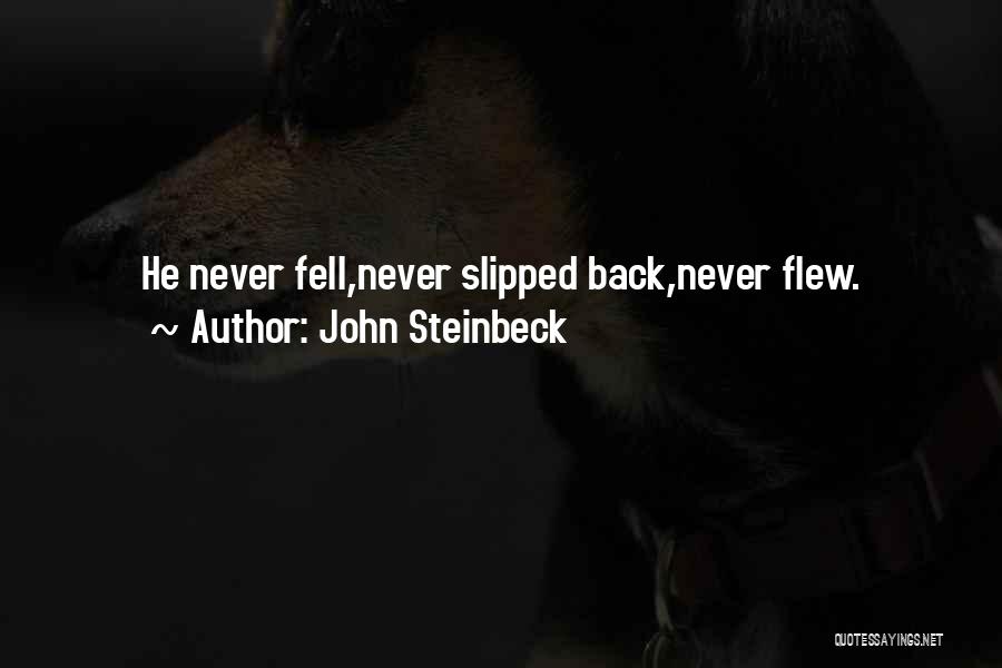 John Steinbeck Quotes: He Never Fell,never Slipped Back,never Flew.