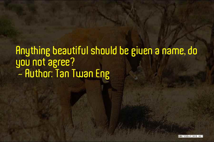 Tan Twan Eng Quotes: Anything Beautiful Should Be Given A Name, Do You Not Agree?