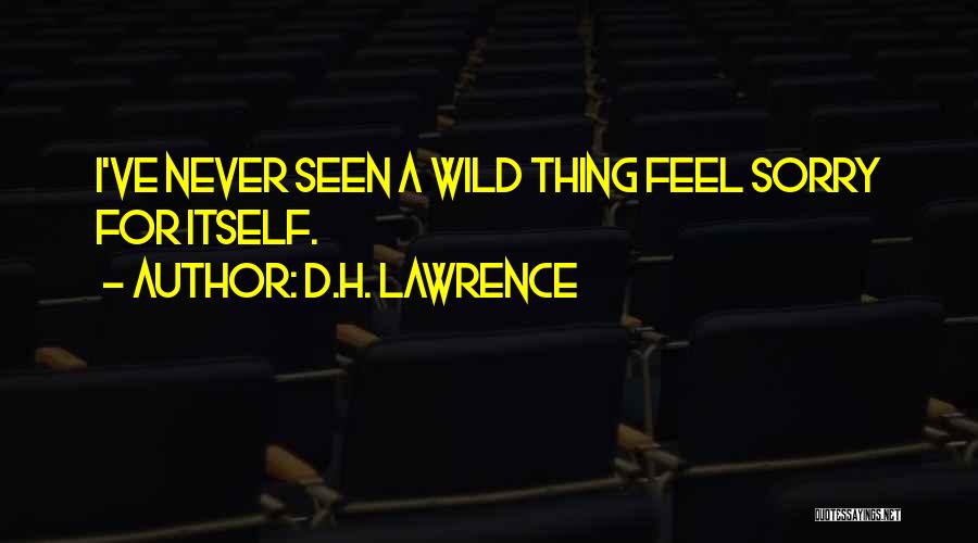 D.H. Lawrence Quotes: I've Never Seen A Wild Thing Feel Sorry For Itself.