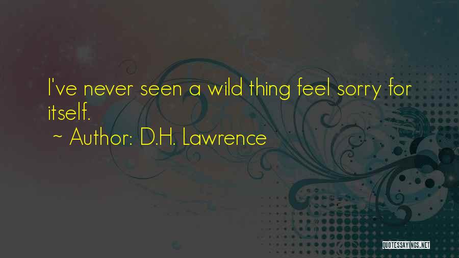 D.H. Lawrence Quotes: I've Never Seen A Wild Thing Feel Sorry For Itself.