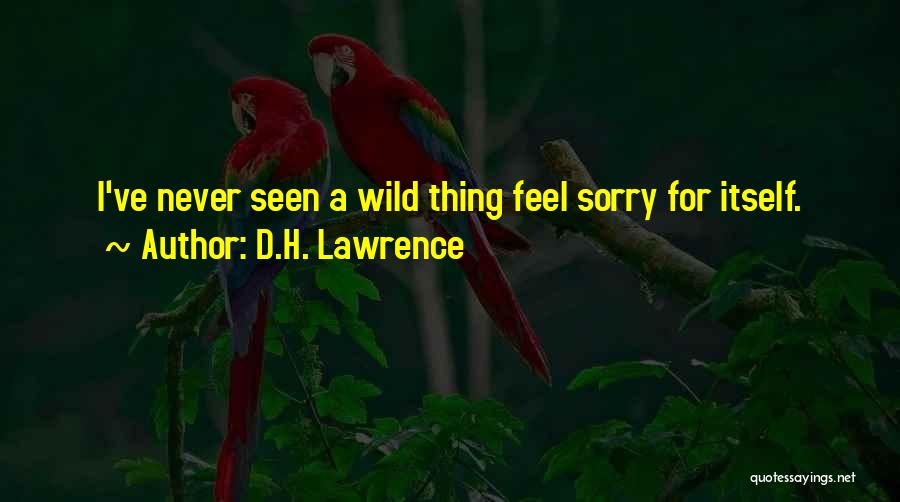 D.H. Lawrence Quotes: I've Never Seen A Wild Thing Feel Sorry For Itself.