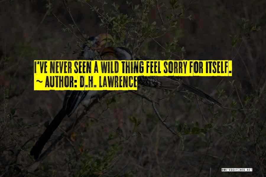 D.H. Lawrence Quotes: I've Never Seen A Wild Thing Feel Sorry For Itself.