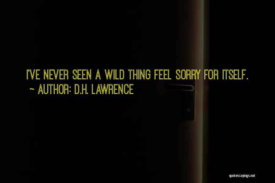 D.H. Lawrence Quotes: I've Never Seen A Wild Thing Feel Sorry For Itself.