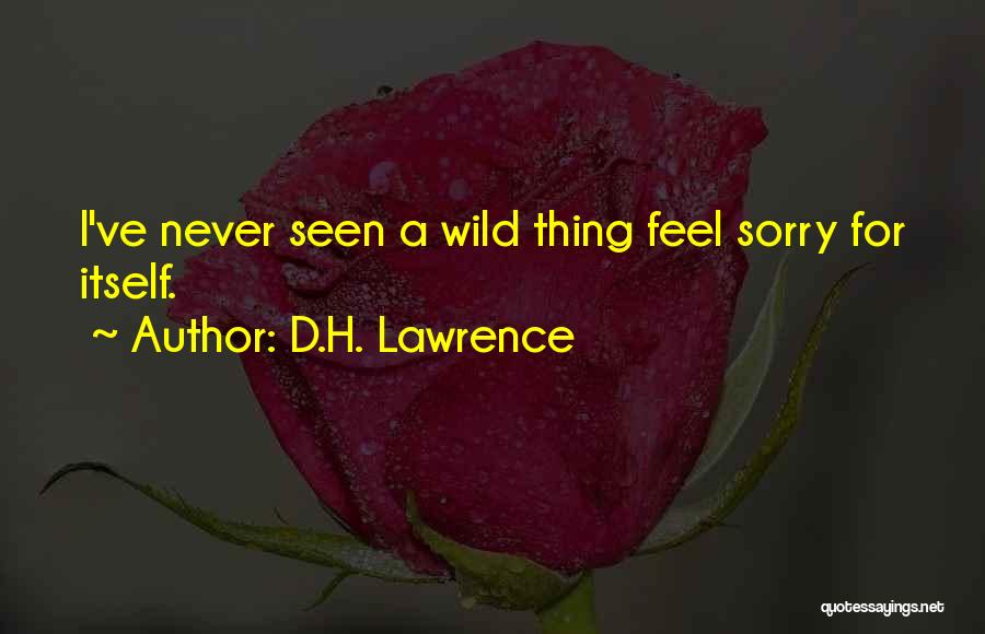 D.H. Lawrence Quotes: I've Never Seen A Wild Thing Feel Sorry For Itself.