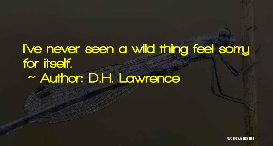 D.H. Lawrence Quotes: I've Never Seen A Wild Thing Feel Sorry For Itself.
