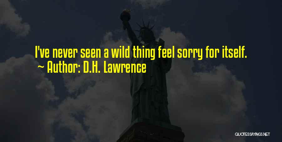 D.H. Lawrence Quotes: I've Never Seen A Wild Thing Feel Sorry For Itself.