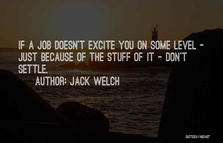 Jack Welch Quotes: If A Job Doesn't Excite You On Some Level - Just Because Of The Stuff Of It - Don't Settle.
