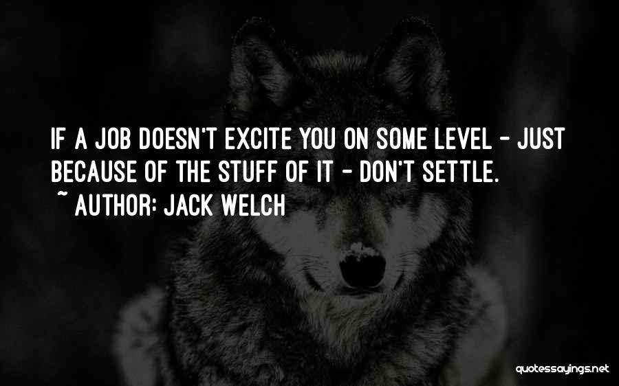 Jack Welch Quotes: If A Job Doesn't Excite You On Some Level - Just Because Of The Stuff Of It - Don't Settle.