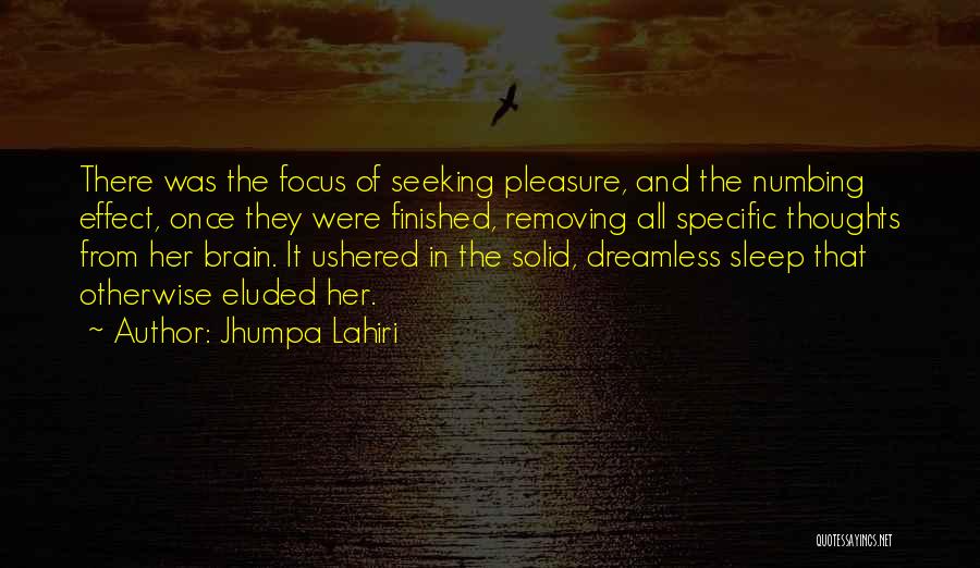 Jhumpa Lahiri Quotes: There Was The Focus Of Seeking Pleasure, And The Numbing Effect, Once They Were Finished, Removing All Specific Thoughts From