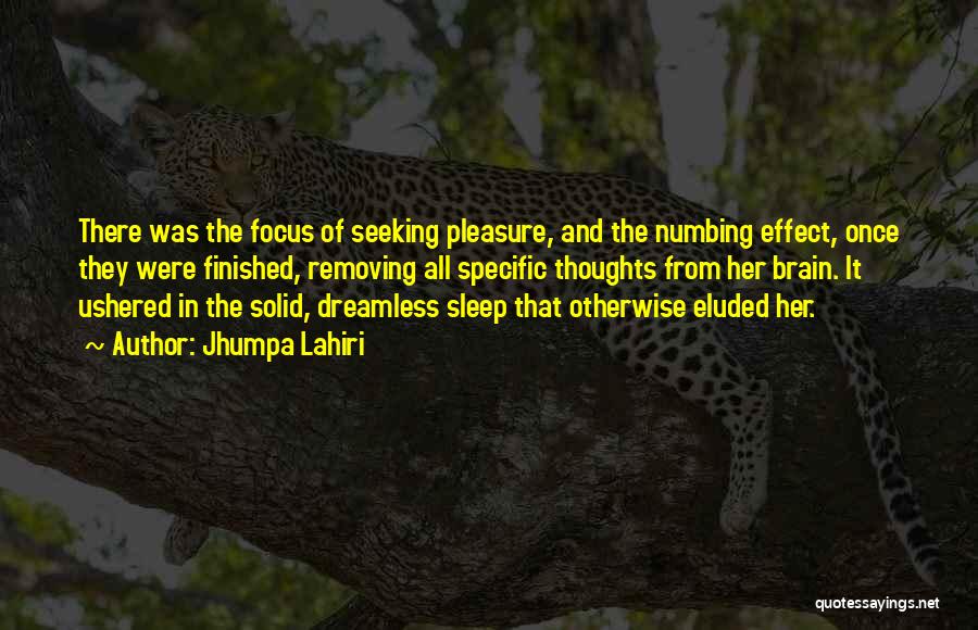 Jhumpa Lahiri Quotes: There Was The Focus Of Seeking Pleasure, And The Numbing Effect, Once They Were Finished, Removing All Specific Thoughts From