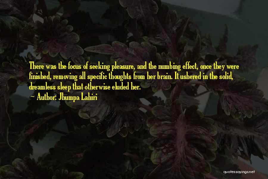 Jhumpa Lahiri Quotes: There Was The Focus Of Seeking Pleasure, And The Numbing Effect, Once They Were Finished, Removing All Specific Thoughts From