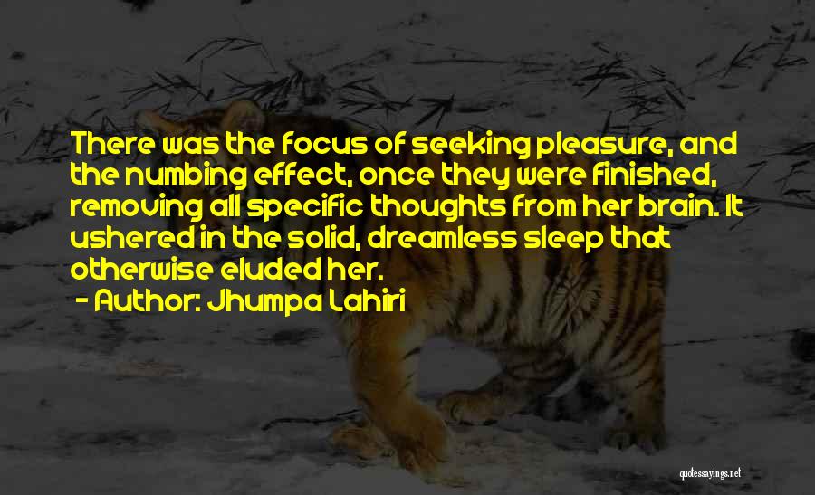 Jhumpa Lahiri Quotes: There Was The Focus Of Seeking Pleasure, And The Numbing Effect, Once They Were Finished, Removing All Specific Thoughts From