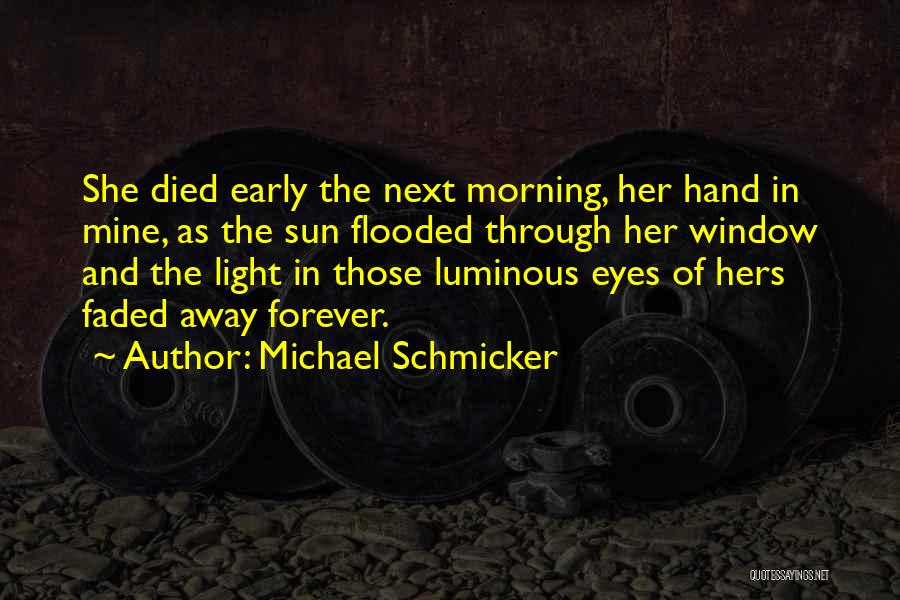Michael Schmicker Quotes: She Died Early The Next Morning, Her Hand In Mine, As The Sun Flooded Through Her Window And The Light