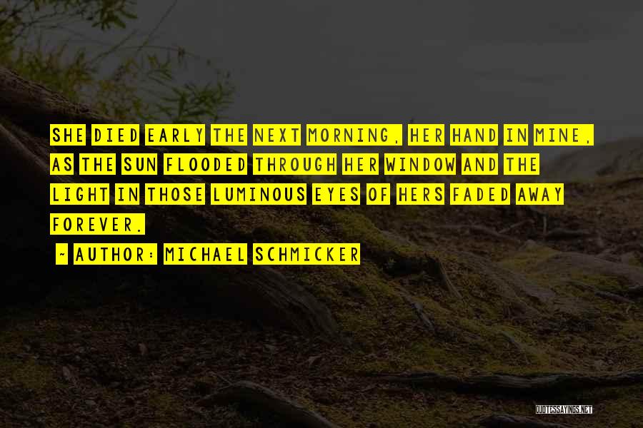 Michael Schmicker Quotes: She Died Early The Next Morning, Her Hand In Mine, As The Sun Flooded Through Her Window And The Light
