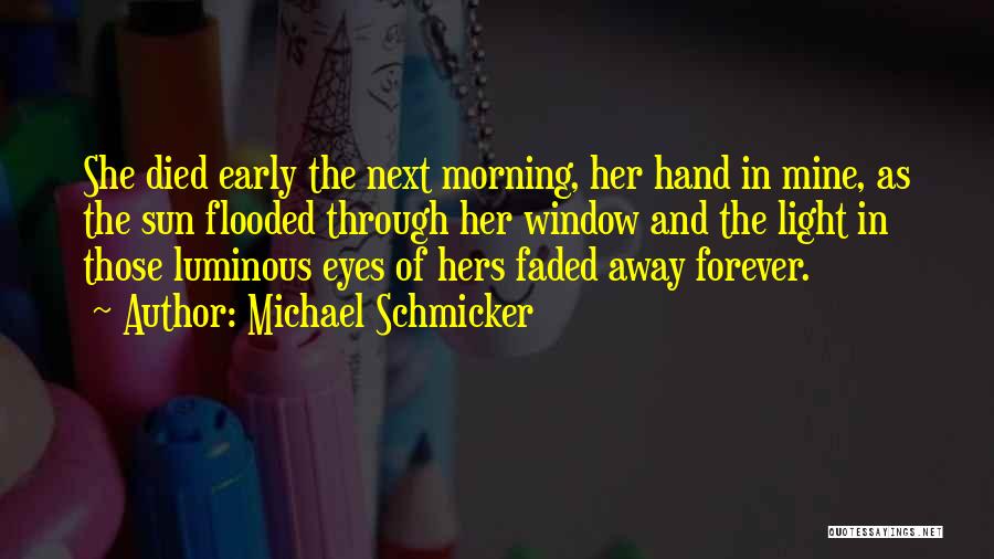 Michael Schmicker Quotes: She Died Early The Next Morning, Her Hand In Mine, As The Sun Flooded Through Her Window And The Light