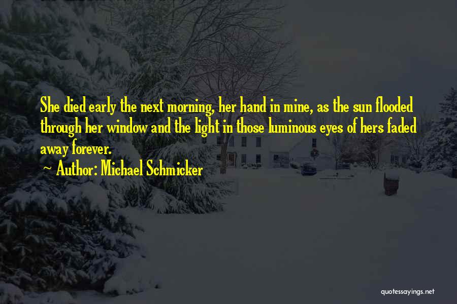 Michael Schmicker Quotes: She Died Early The Next Morning, Her Hand In Mine, As The Sun Flooded Through Her Window And The Light