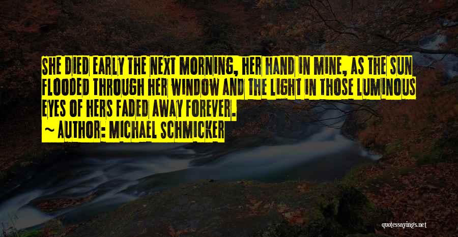 Michael Schmicker Quotes: She Died Early The Next Morning, Her Hand In Mine, As The Sun Flooded Through Her Window And The Light