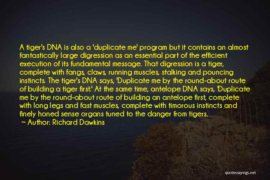 Richard Dawkins Quotes: A Tiger's Dna Is Also A 'duplicate Me' Program But It Contains An Almost Fantastically Large Digression As An Essential