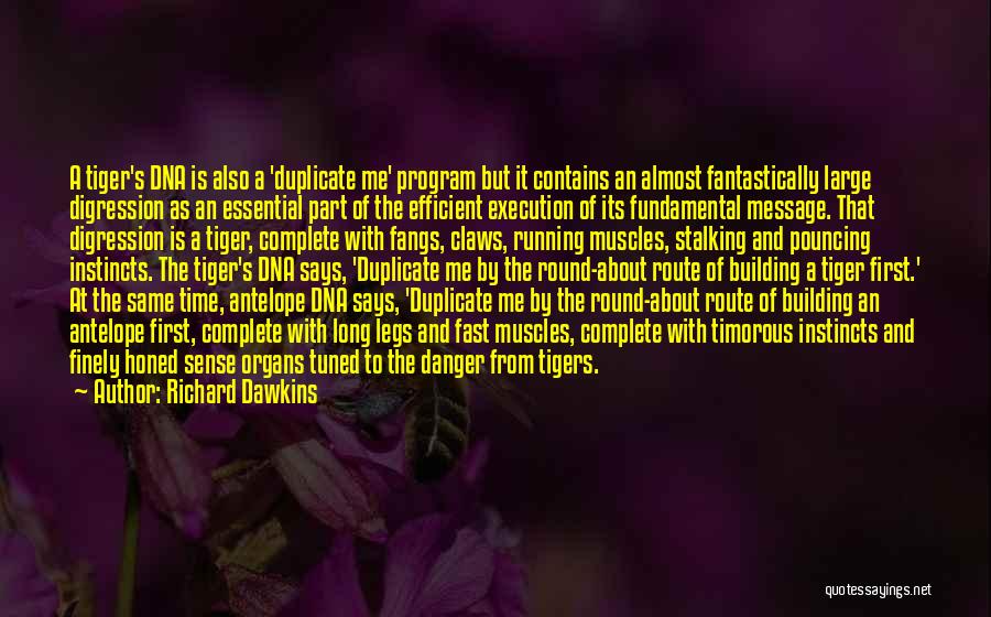 Richard Dawkins Quotes: A Tiger's Dna Is Also A 'duplicate Me' Program But It Contains An Almost Fantastically Large Digression As An Essential