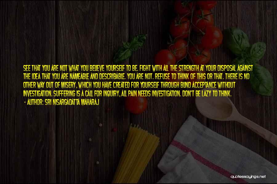 Sri Nisargadatta Maharaj Quotes: See That You Are Not What You Believe Yourself To Be. Fight With All The Strength At Your Disposal Against