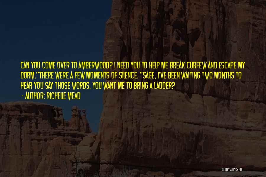 Richelle Mead Quotes: Can You Come Over To Amberwood? I Need You To Help Me Break Curfew And Escape My Dorm.there Were A