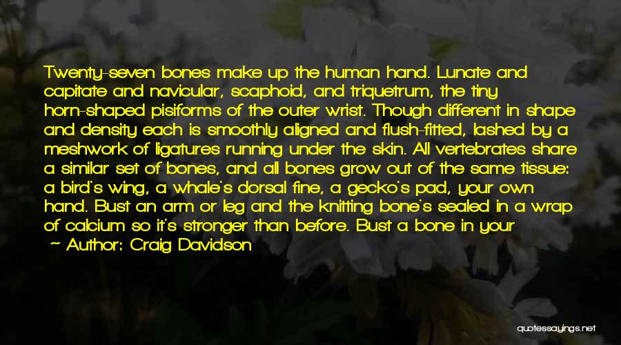 Craig Davidson Quotes: Twenty-seven Bones Make Up The Human Hand. Lunate And Capitate And Navicular, Scaphoid, And Triquetrum, The Tiny Horn-shaped Pisiforms Of