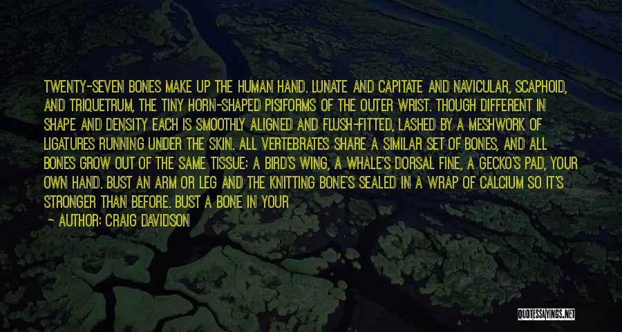 Craig Davidson Quotes: Twenty-seven Bones Make Up The Human Hand. Lunate And Capitate And Navicular, Scaphoid, And Triquetrum, The Tiny Horn-shaped Pisiforms Of