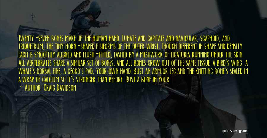 Craig Davidson Quotes: Twenty-seven Bones Make Up The Human Hand. Lunate And Capitate And Navicular, Scaphoid, And Triquetrum, The Tiny Horn-shaped Pisiforms Of