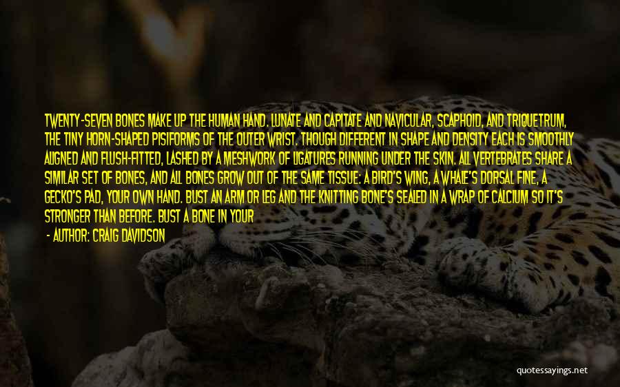 Craig Davidson Quotes: Twenty-seven Bones Make Up The Human Hand. Lunate And Capitate And Navicular, Scaphoid, And Triquetrum, The Tiny Horn-shaped Pisiforms Of