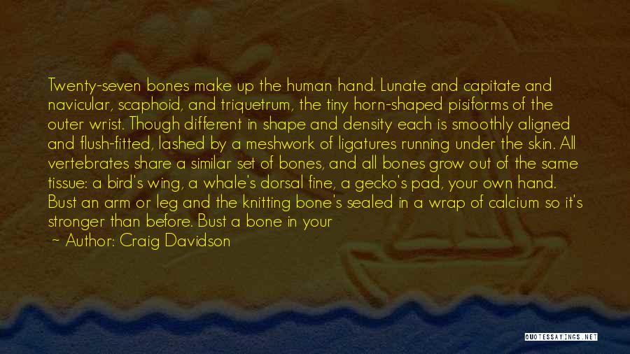 Craig Davidson Quotes: Twenty-seven Bones Make Up The Human Hand. Lunate And Capitate And Navicular, Scaphoid, And Triquetrum, The Tiny Horn-shaped Pisiforms Of