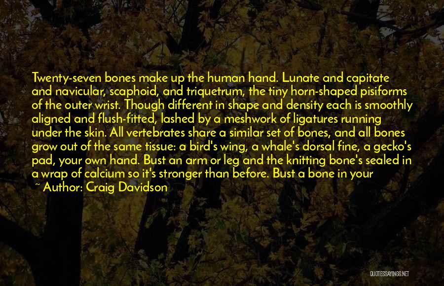 Craig Davidson Quotes: Twenty-seven Bones Make Up The Human Hand. Lunate And Capitate And Navicular, Scaphoid, And Triquetrum, The Tiny Horn-shaped Pisiforms Of