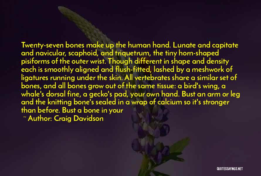 Craig Davidson Quotes: Twenty-seven Bones Make Up The Human Hand. Lunate And Capitate And Navicular, Scaphoid, And Triquetrum, The Tiny Horn-shaped Pisiforms Of