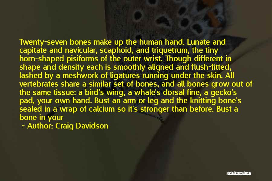 Craig Davidson Quotes: Twenty-seven Bones Make Up The Human Hand. Lunate And Capitate And Navicular, Scaphoid, And Triquetrum, The Tiny Horn-shaped Pisiforms Of