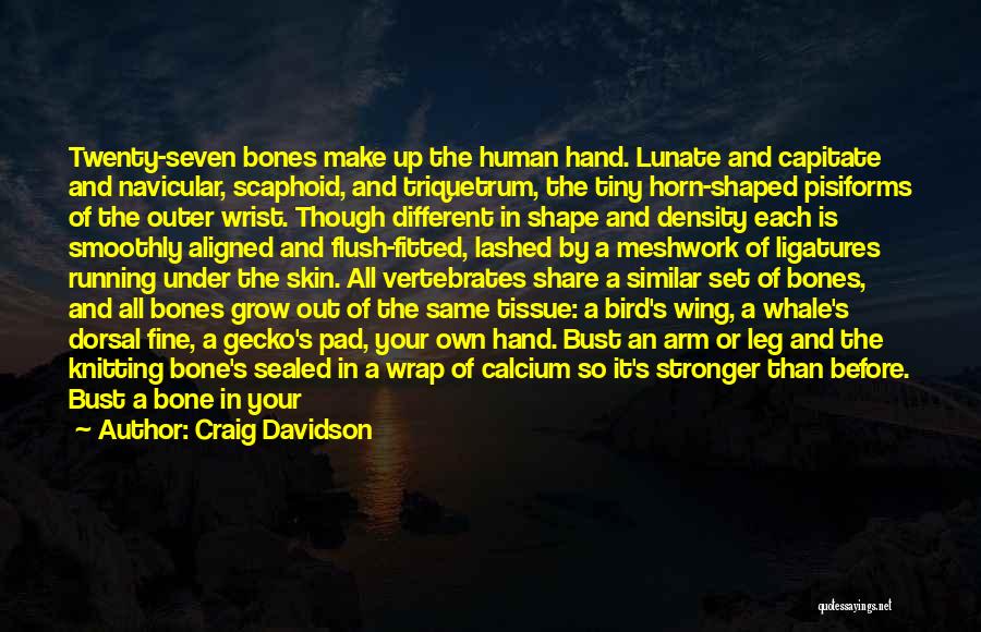 Craig Davidson Quotes: Twenty-seven Bones Make Up The Human Hand. Lunate And Capitate And Navicular, Scaphoid, And Triquetrum, The Tiny Horn-shaped Pisiforms Of