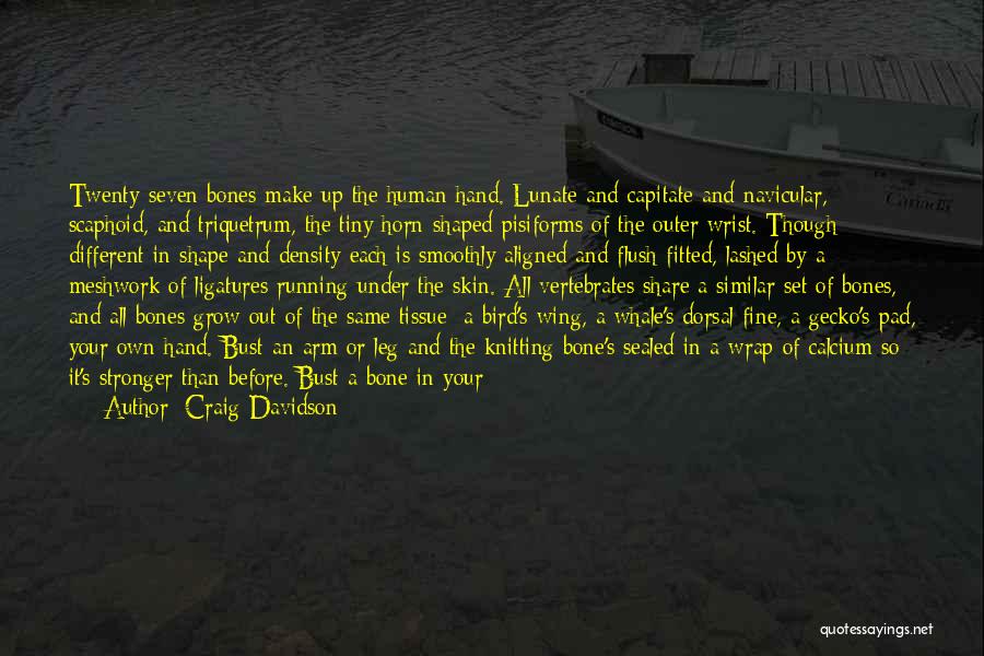 Craig Davidson Quotes: Twenty-seven Bones Make Up The Human Hand. Lunate And Capitate And Navicular, Scaphoid, And Triquetrum, The Tiny Horn-shaped Pisiforms Of