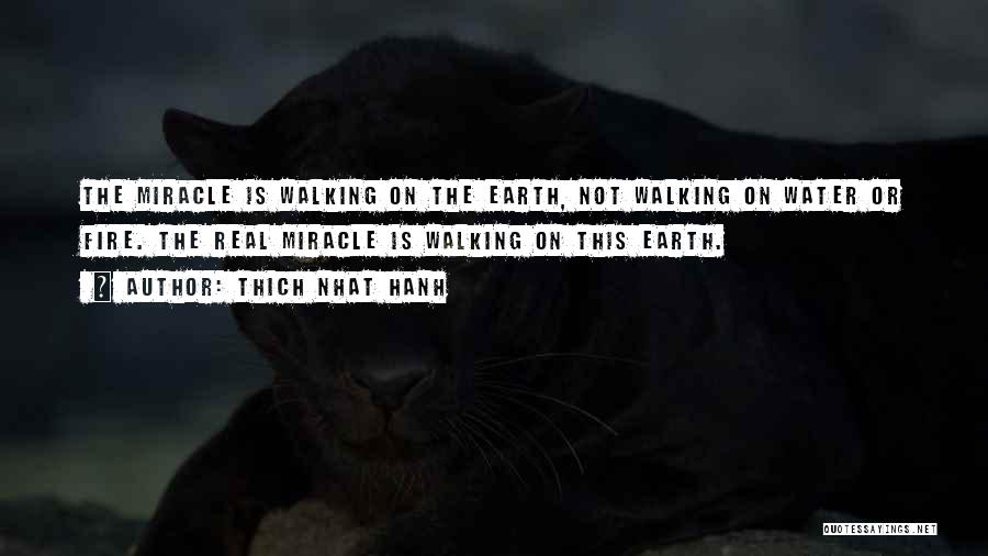 Thich Nhat Hanh Quotes: The Miracle Is Walking On The Earth, Not Walking On Water Or Fire. The Real Miracle Is Walking On This