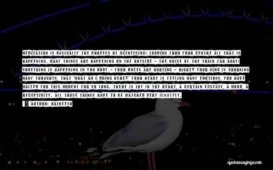 Rajneesh Quotes: Meditation Is Basically The Process Of Witnessing: Looking From Your Centre All That Is Happening. Many Things Are Happening On